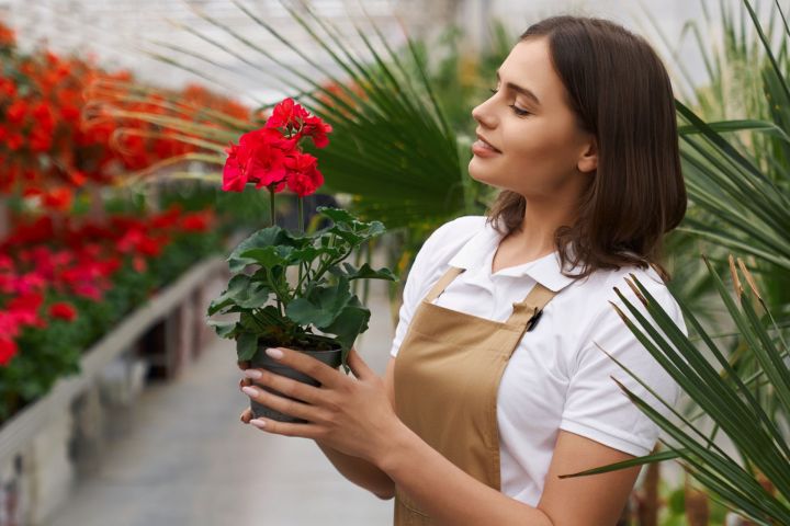 Яран гөл купшы чәчәк атсын дисәгез...