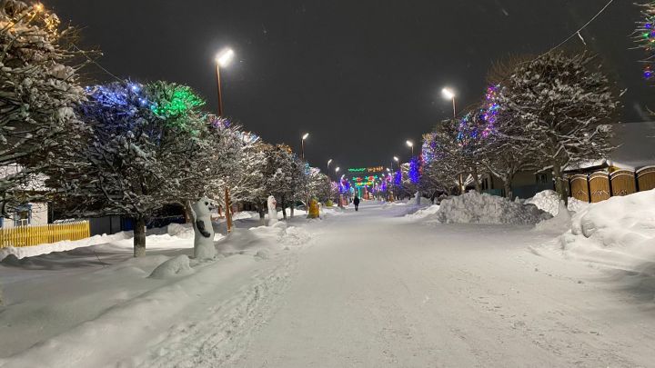 24 гыйнварга һава торышы