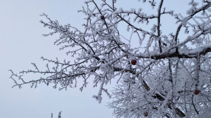 Бүген Сабада һава торышы