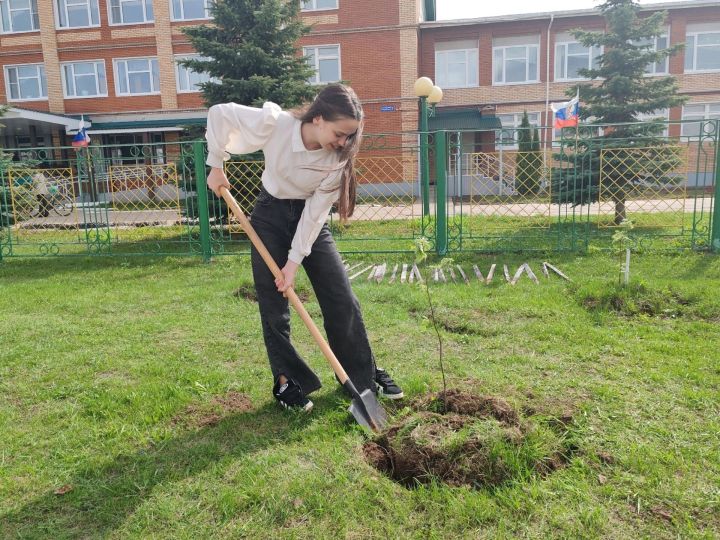 Шәмәрдән укучылары «Хәтер бакчасы» акциясенә кушылды