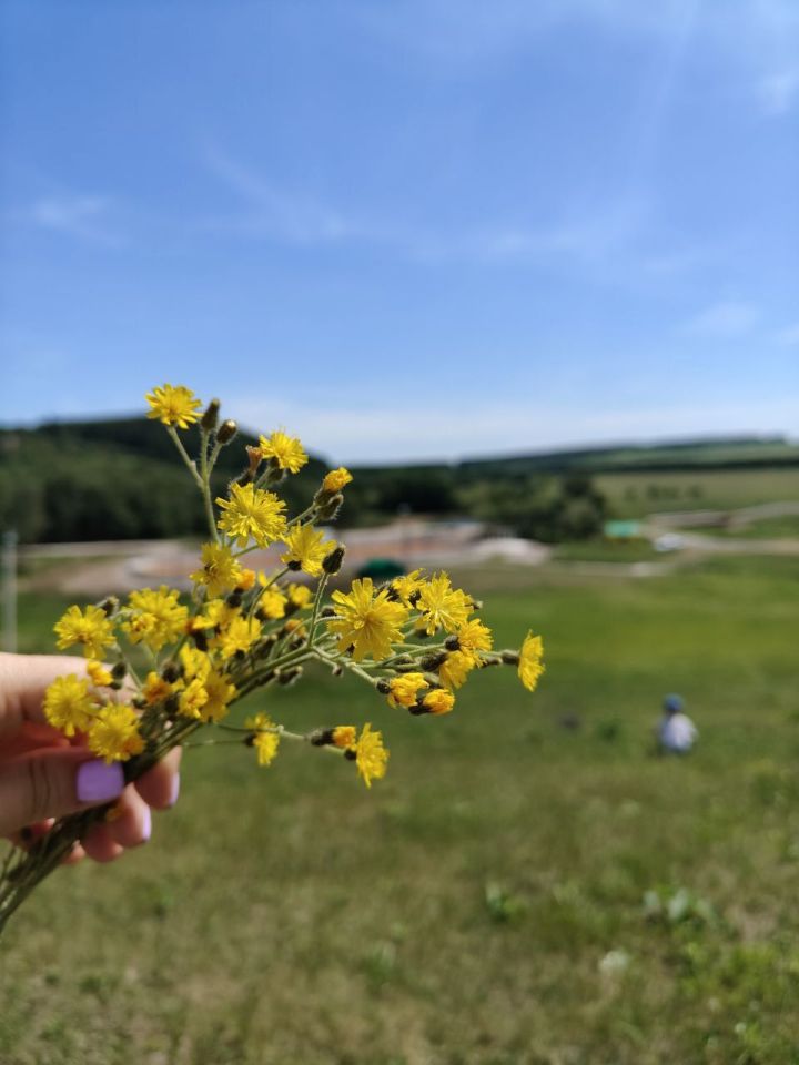 Бүген Сабада  көн кызу, кояшлы булачак